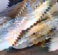 1982 Espresso - Subiaco - Accommodation Gold Coast