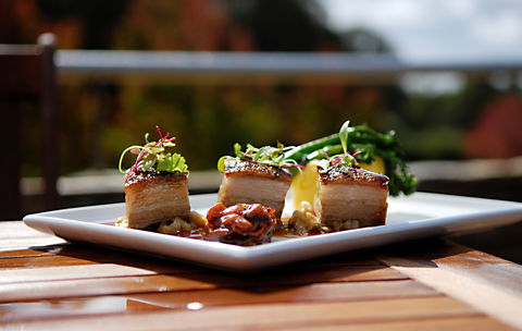 Avocados Bar And Cafe - Accommodation Gold Coast 0