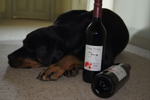 Dog Trap Vineyard - 1 Gold Coast 0