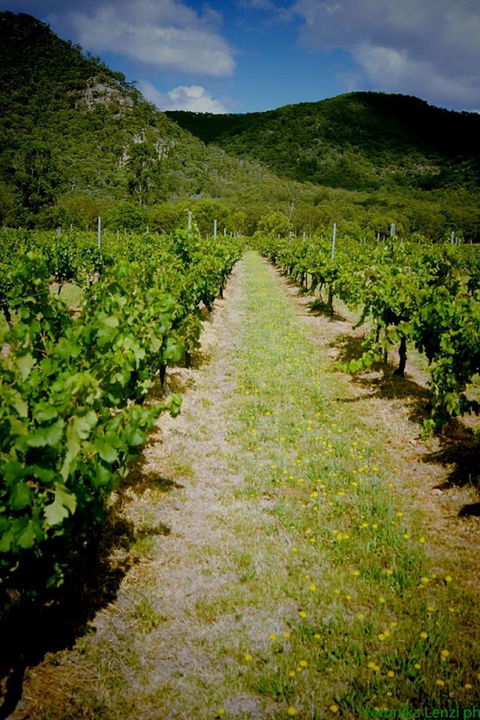 Gartelmann Wines - 1 Gold Coast 0