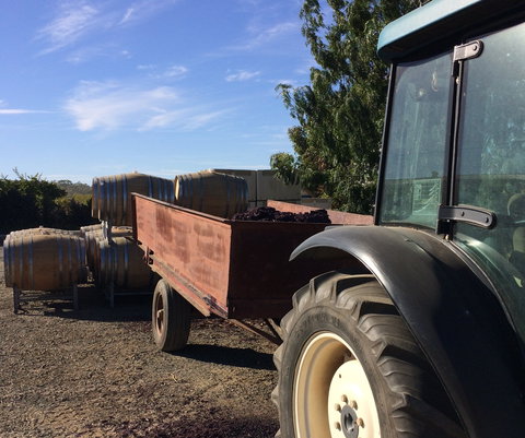 Massena - Accommodation Gold Coast 0