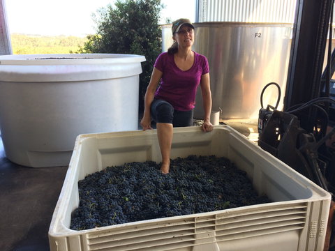 Massena - Accommodation Gold Coast 2