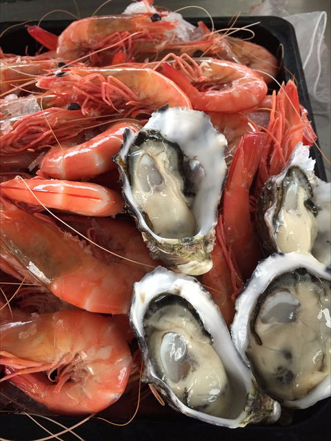 Mi Shells Seafood - 1 Gold Coast 0