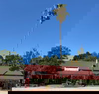 The Vine Hotel North Wangaratta - Gold Coast 4U