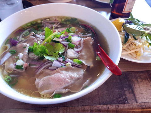 Vietnamese Mint - Accommodation Gold Coast 0