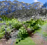 Woongooroo Estate Winery - Accommodation Gold Coast