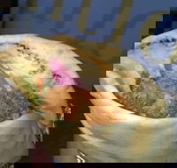 Wrap It Kebabs  Falafel - Accommodation Gold Coast