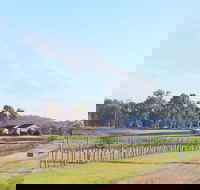 Blacklea Vineyard and Olive Grove - Gold Coast 4U