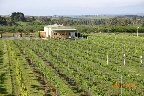 Dindima Wines - 1 Gold Coast 0