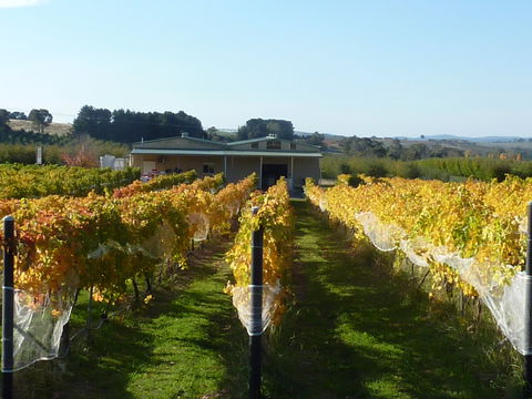 Dindima Wines - 1 Gold Coast 2