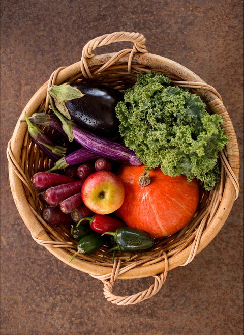 Farm Club: Farm Shop And Canteen - Accommodation Gold Coast 2