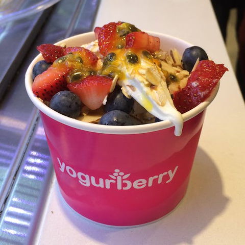 Yogurberry - Bankstown - Accommodation Gold Coast 0