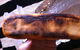 Balmoral Pizzeria - thumb 0