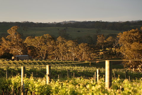 Max & Me Wine Tasting @ Eden Valley Hotel - Accommodation Gold Coast 1