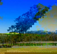 Degen Wines - Accommodation Gold Coast