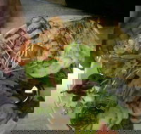 Taste Canowindra - Accommodation Gold Coast