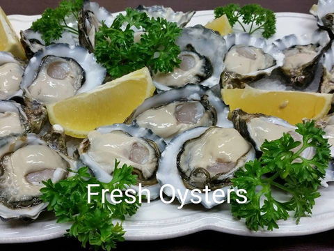 Wonderfish - Gold Coast 4U 0