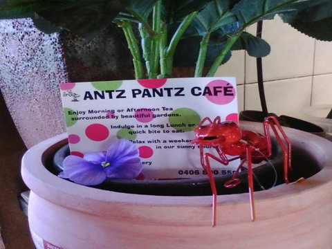 Antz Pantz Cafe - Accommodation Gold Coast 0