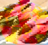 Ducky Brown Gateway - Accommodation Gold Coast