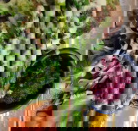 Sasaki - Accommodation Gold Coast