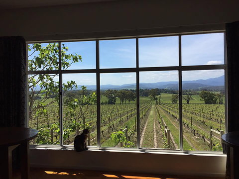 Yarra Yering - 1 Gold Coast 2