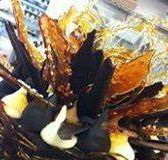 Daily Dose Cafe Wine Bar - Accommodation Gold Coast
