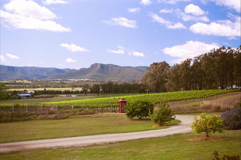 Catherine Vale Wines - Accommodation Gold Coast 0