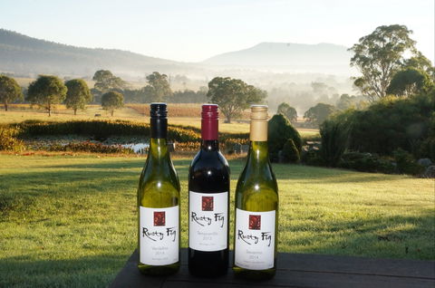 Rusty Fig Wines - Accommodation Gold Coast 0