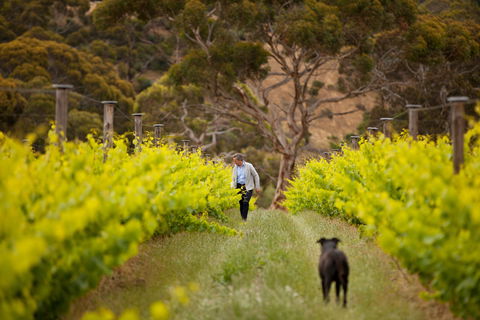Islander Estate Vineyards - Gold Coast 4U 1