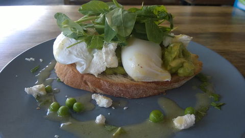 Java Lounge Cafe - Accommodation Gold Coast 0