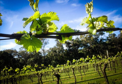 Michael Unwin Wines - 1 Gold Coast 1