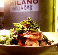 Milano Grill  Bar - Gold Coast 4U