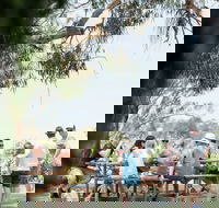 St Leonards Vineyard Caf - Accommodation Gold Coast