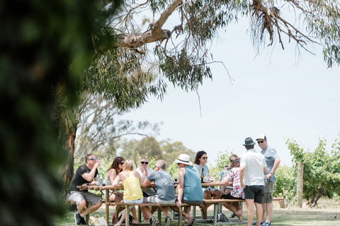 St Leonards Vineyard Café - Accommodation Gold Coast 0