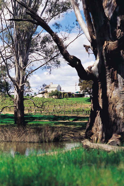 St Leonards Vineyard Café - Accommodation Gold Coast 1