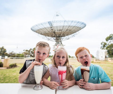 The Dish Cafe - Accommodation Gold Coast 0