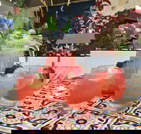 Fillippo's - Campbelltown - Accommodation Gold Coast