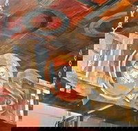 Fish Bite - Accommodation Gold Coast