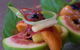 Nine Fine Food - thumb 1