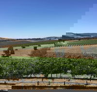 Peerick Vineyard and Winery - Accommodation Gold Coast