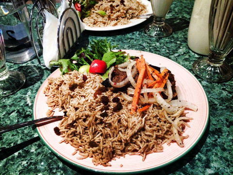 Safari - Accommodation Gold Coast 0