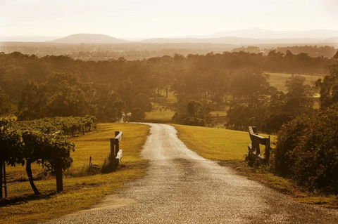 Petersons Wines - Gold Coast 4U 0