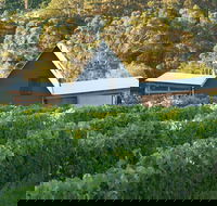 Two Bud Spur Vineyard - Accommodation Gold Coast