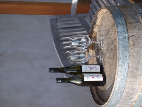 Two Bud Spur Vineyard - Accommodation Gold Coast 1