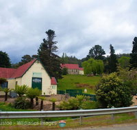 Frank's Cider House  and Cafe - Accommodation Gold Coast