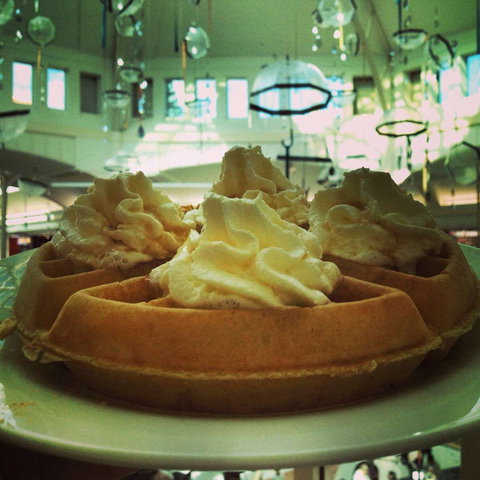 Gelare - Morley - Accommodation Gold Coast 0