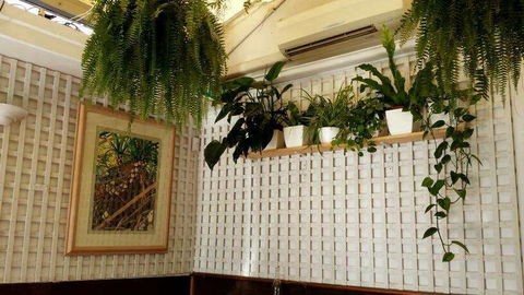 Plane Tree Cafe - Accommodation Gold Coast 0
