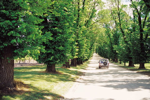 All Saints Estate - Accommodation Gold Coast 1