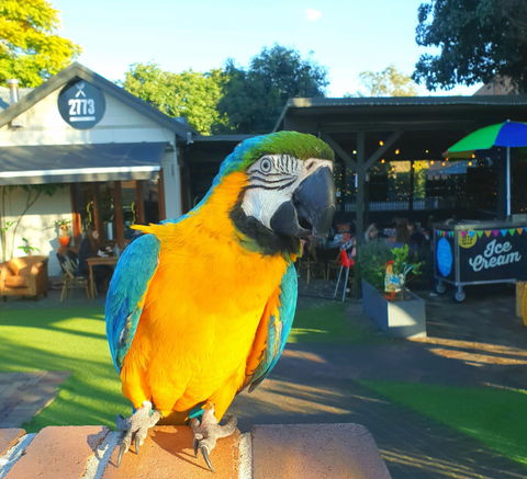 Cafe 2773 - Gold Coast 4U 2