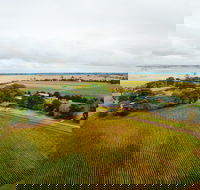Pettavel Wines - Accommodation Gold Coast